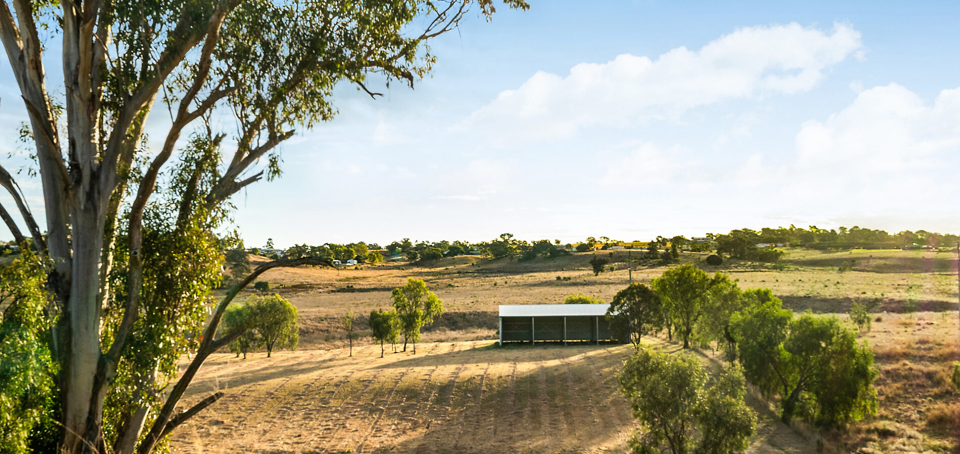 339 Old Goombungee Road, Gowrie Junction QLD 4352 - photo 3