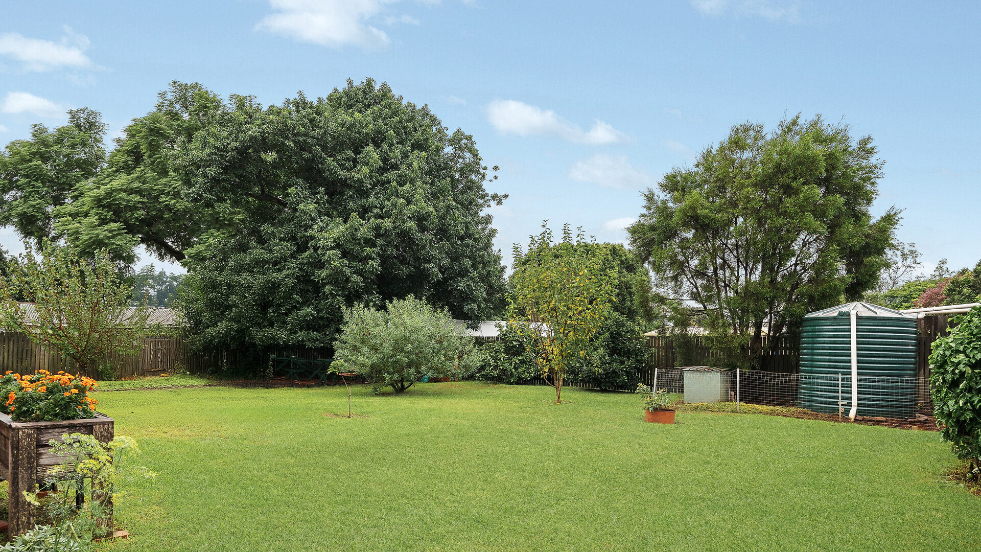 Sold - 18 Ranfurly Street - New Property in Newtown - Real Estate by Heston Marino