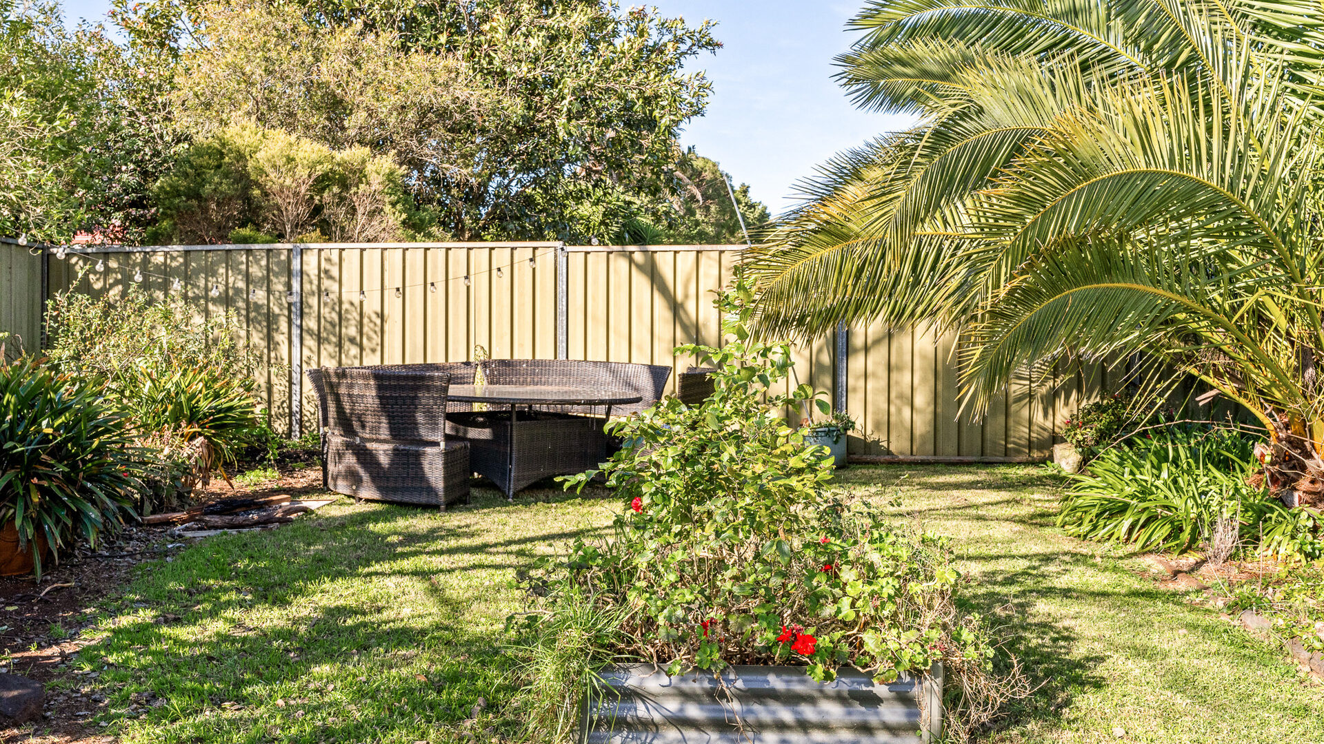 Sold - 19 Redwood Street - New Property in Newtown - Real Estate by Heston Marino