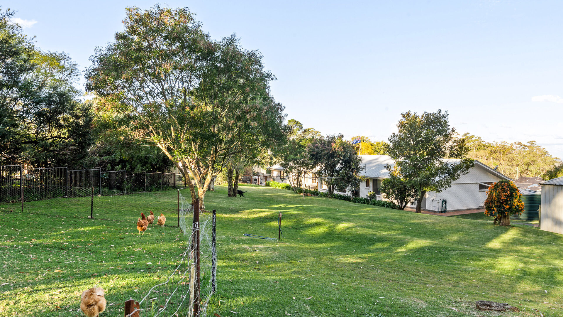 Sold - 7 Nielsen Court - New Property in Middle Ridge - Real Estate by Heston Marino