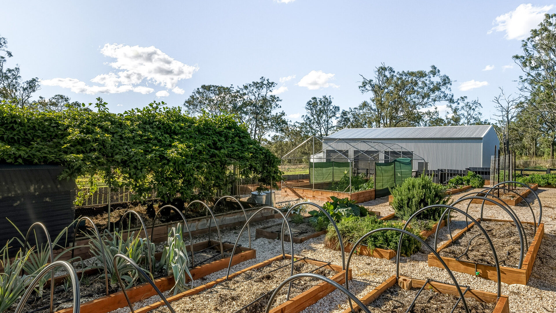 Sold - 26 Daintree Crescent - New Property in Meringandan West - Real Estate by Heston Marino