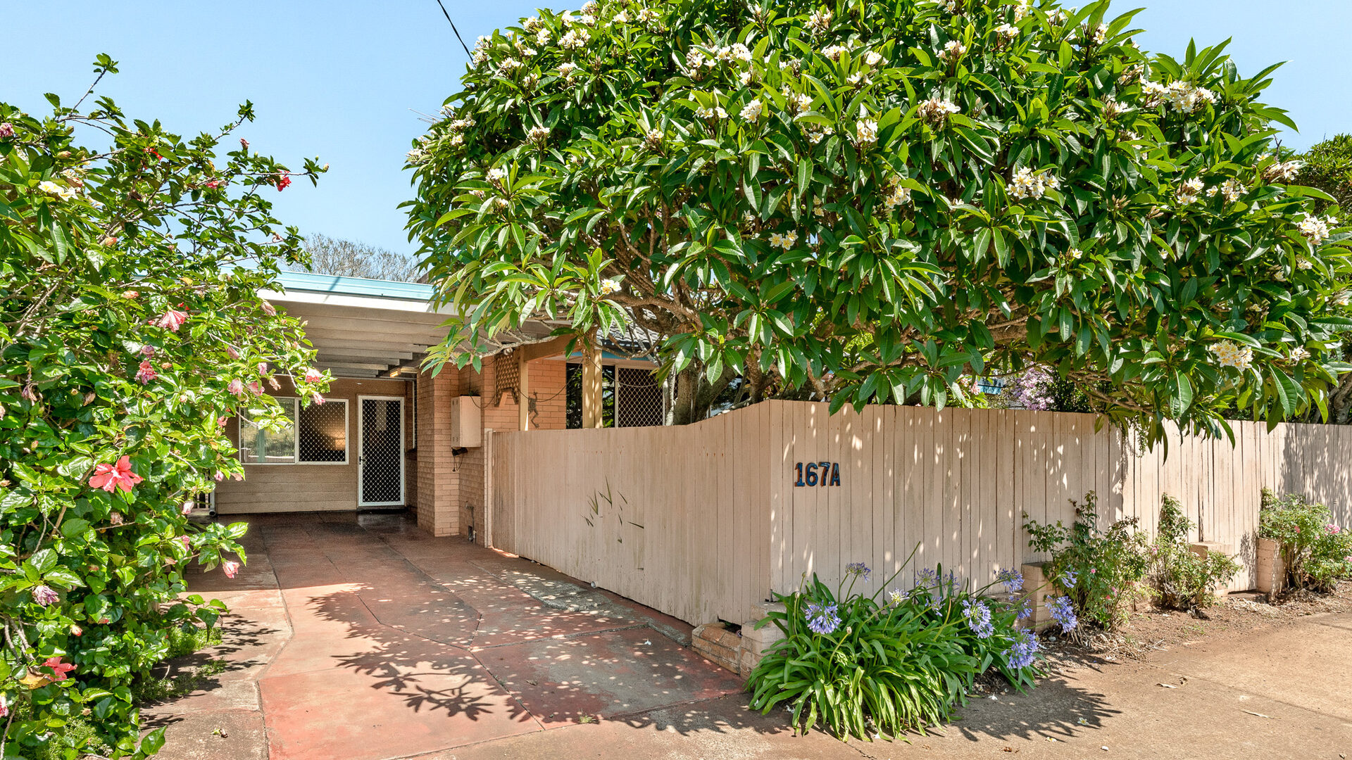 Sold - 167A Holberton Street - New Property in Newtown - Real Estate by Joshua Williams
