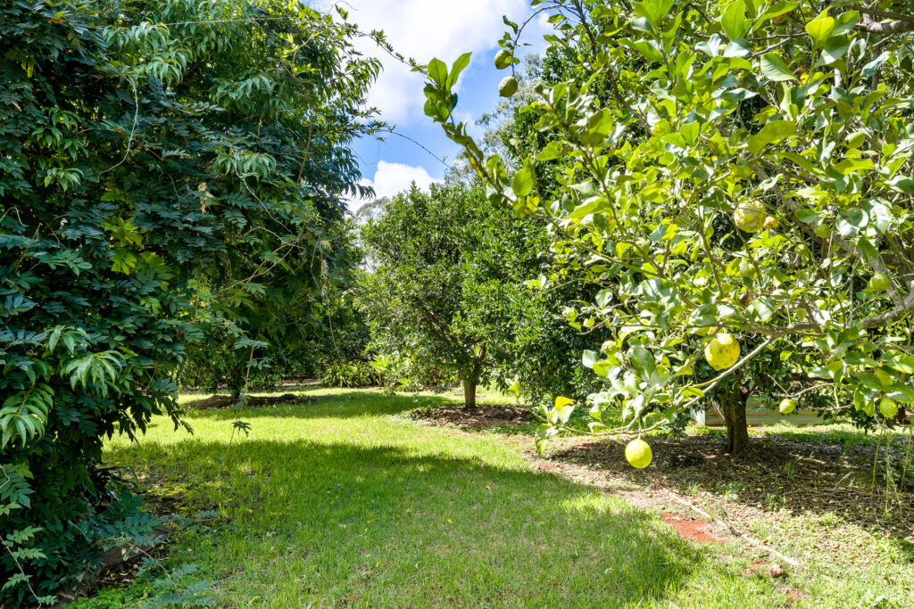 Sold - 13 Bronwyn Court - New Property in Highfields - Real Estate by Heston Marino