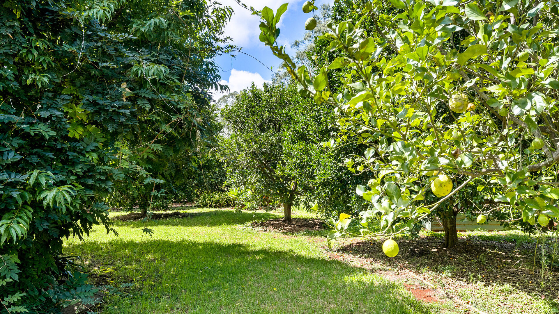 Sold - 13 Bronwyn Court - New Property in Highfields - Real Estate by Heston Marino