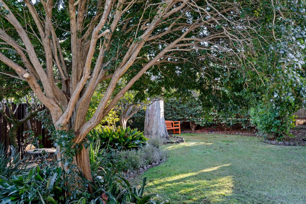For Sale - 29 Mina Street - New Property in Rangeville - Real Estate by Heston Marino